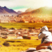 How to Have More Amazing Travel Adventures That Are Easy